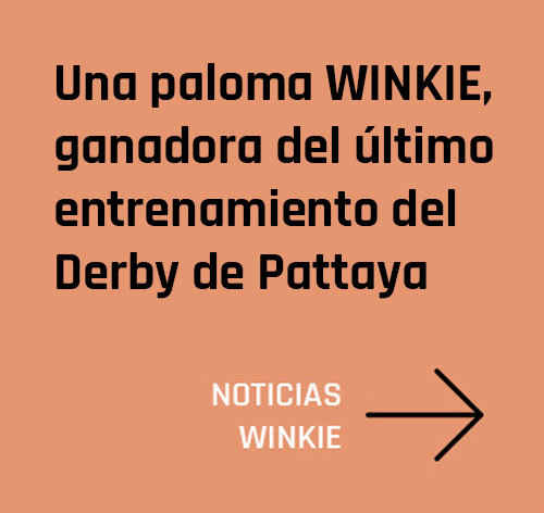 banner-noticias banner-noticias